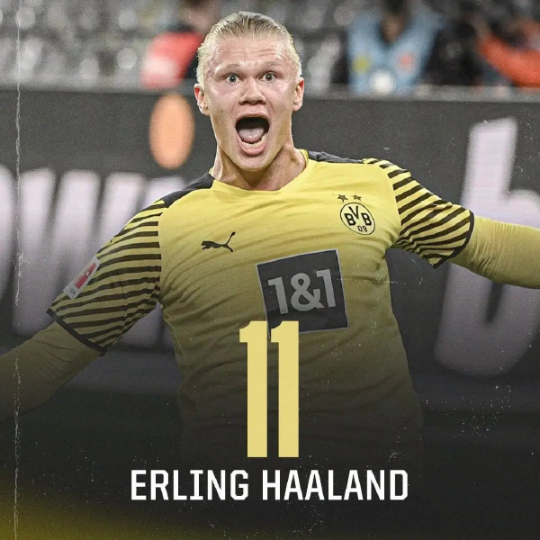 国际马术盛宴登陆杭州桐庐 掀起长三角马术热潮（世界级马术盛会落地杭州桐庐 点燃长三角马术热潮）